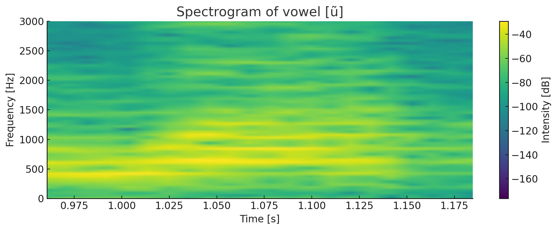 Spectrogramme de la voyelle nasale ũ