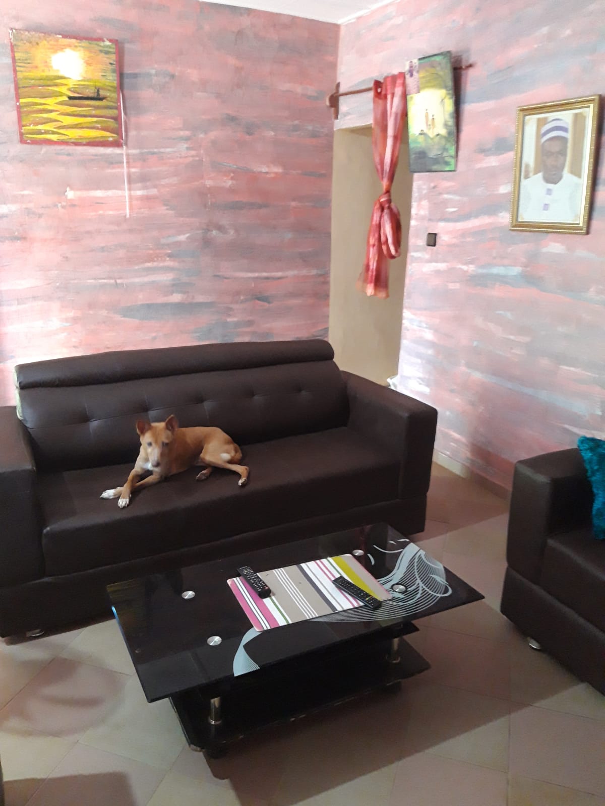 Toutou au salon