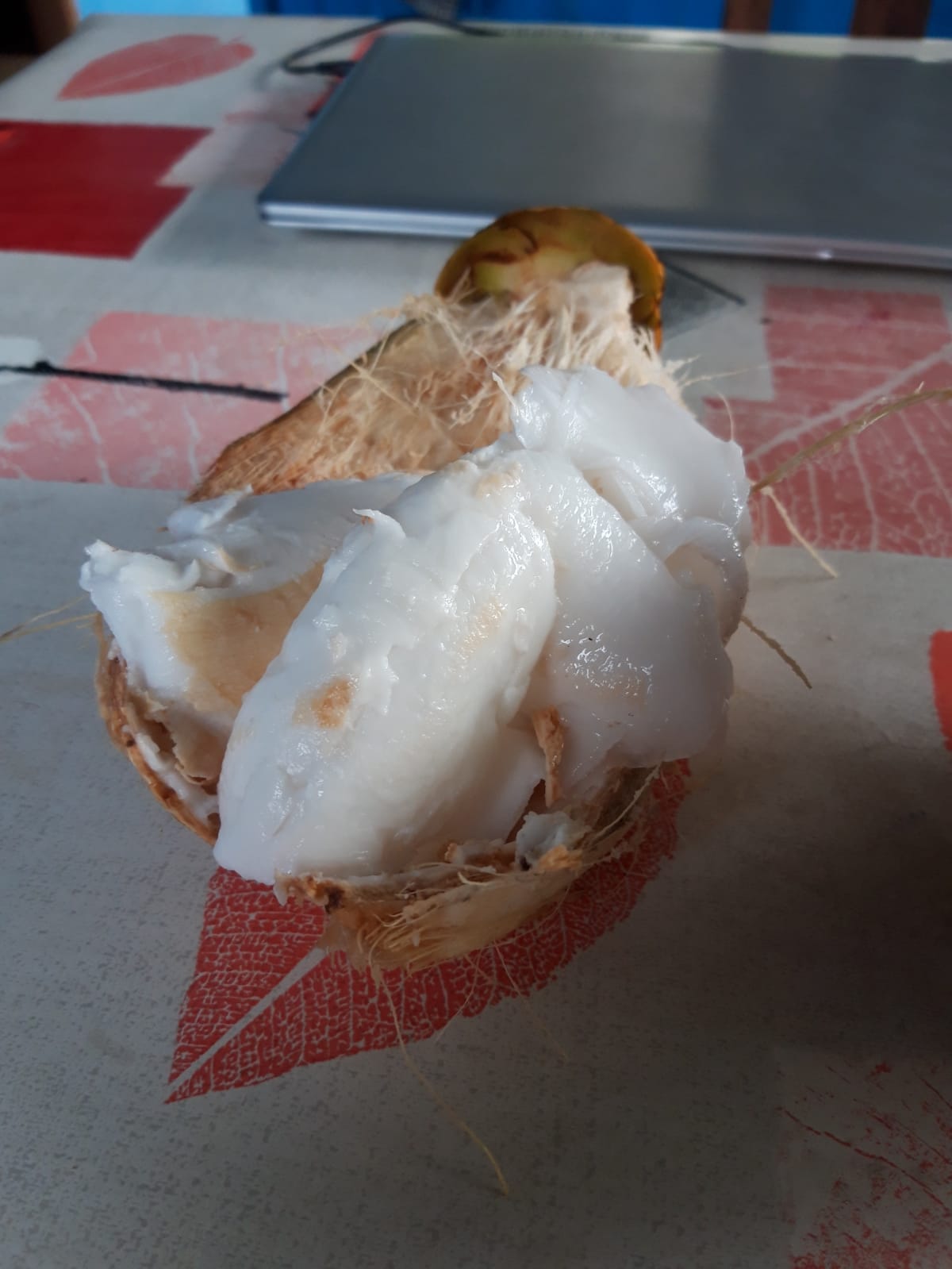 Du coco frais