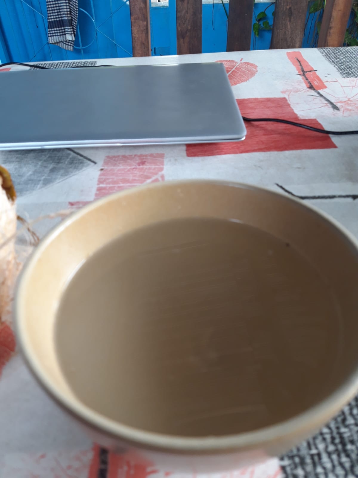 Du lait de coco