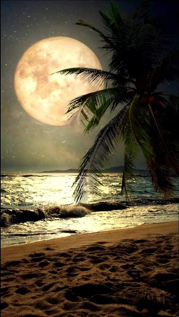 Nuit