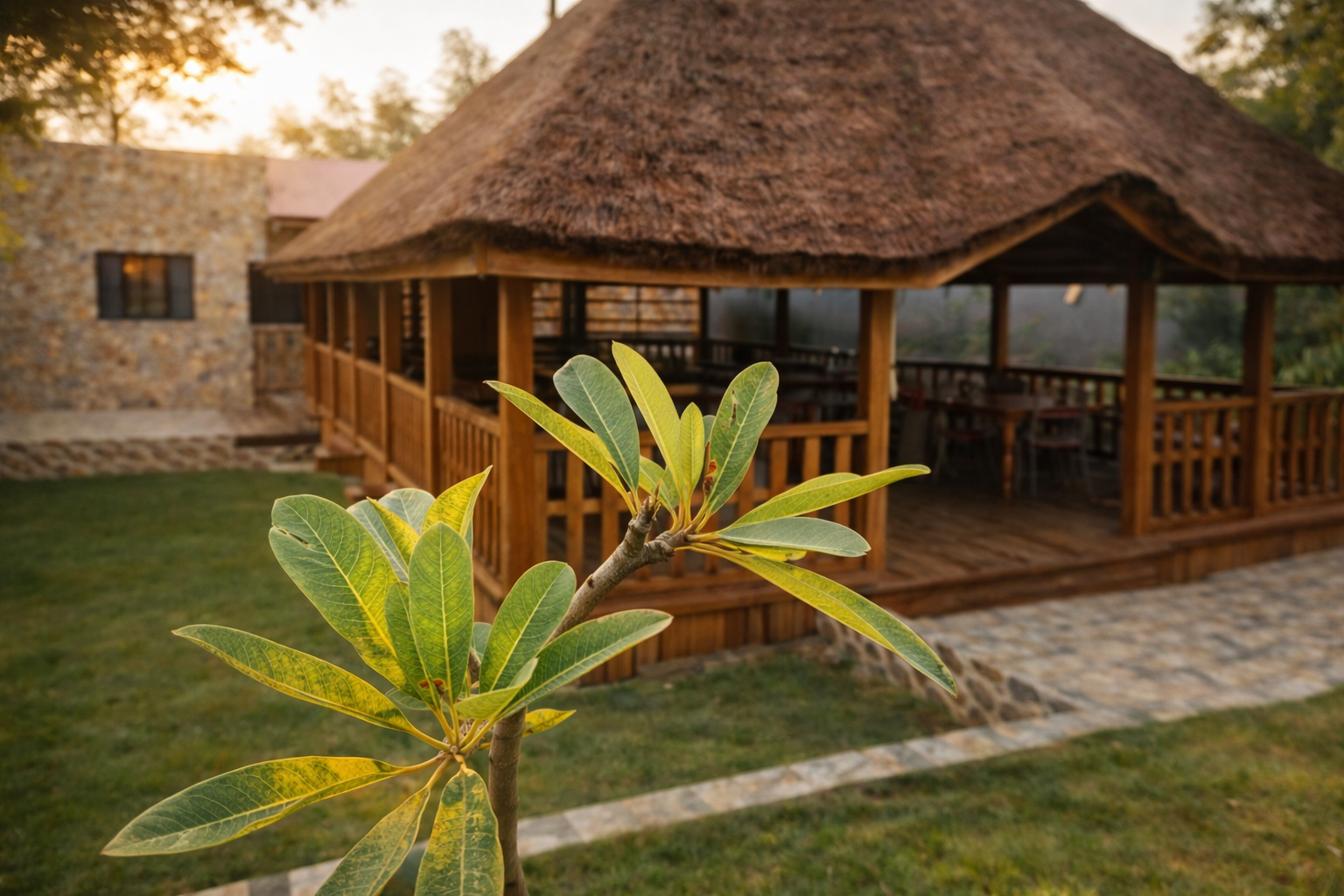 Village ou ambiance locale à Tori-Bossito